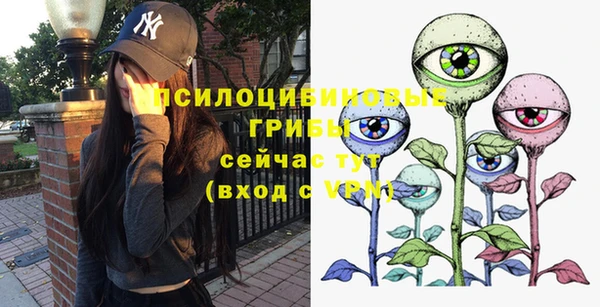 a pvp Алексеевка